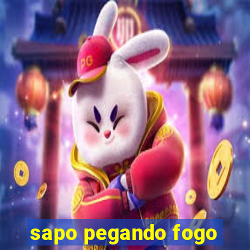 sapo pegando fogo