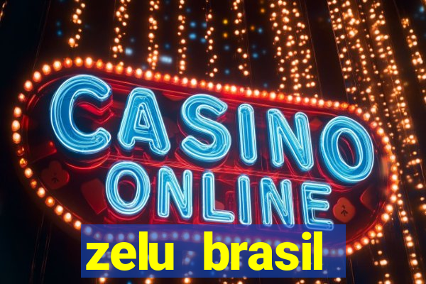 zelu brasil facilitadora de pagamentos ltda jogos