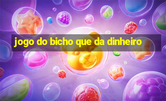 jogo do bicho que da dinheiro