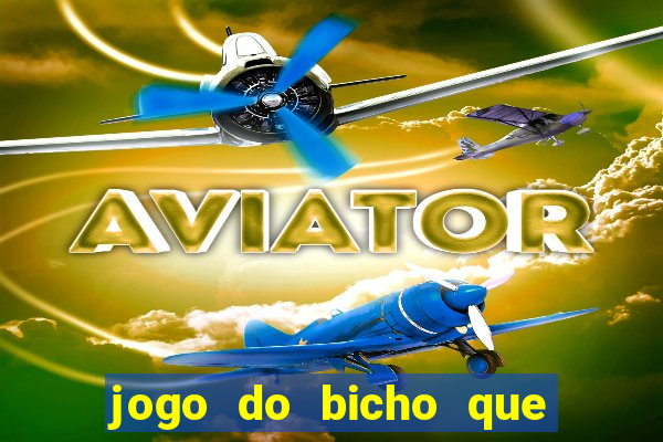 jogo do bicho que da dinheiro