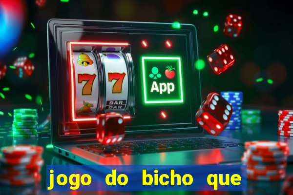 jogo do bicho que da dinheiro