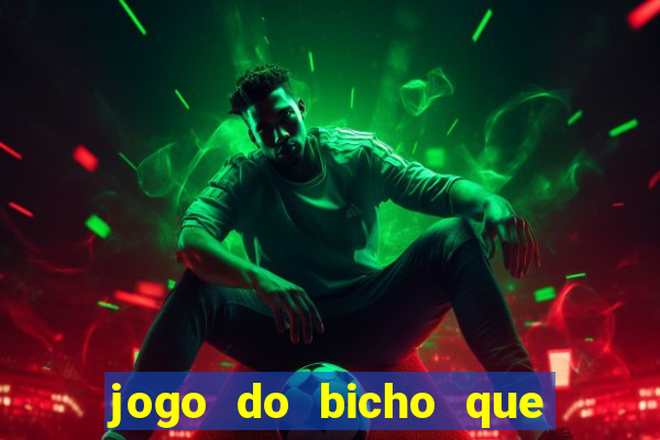 jogo do bicho que da dinheiro