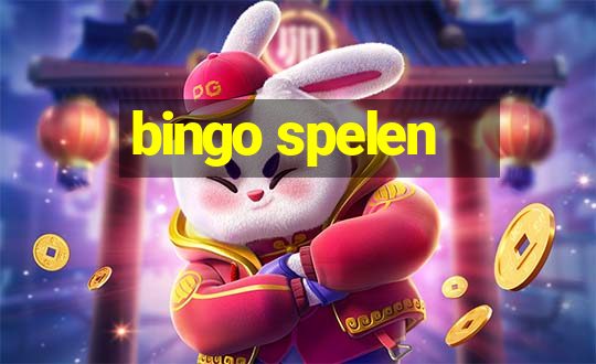 bingo spelen