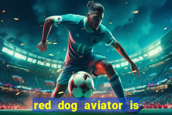 red dog aviator is real or fake