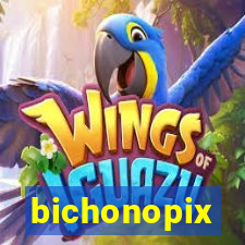 bichonopix