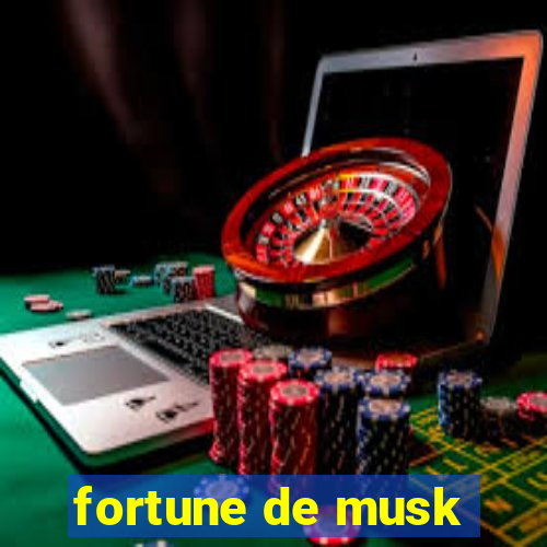 fortune de musk