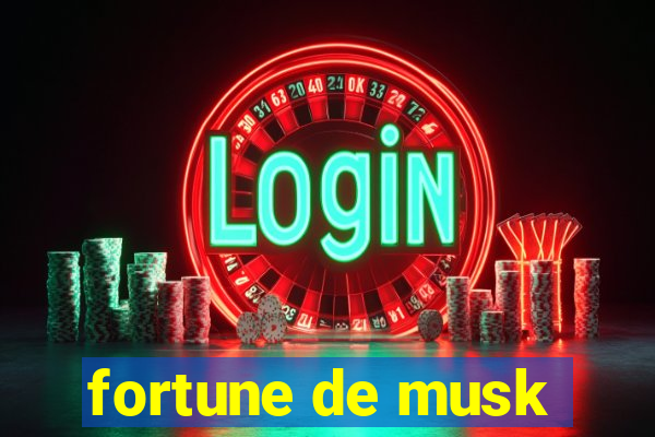 fortune de musk