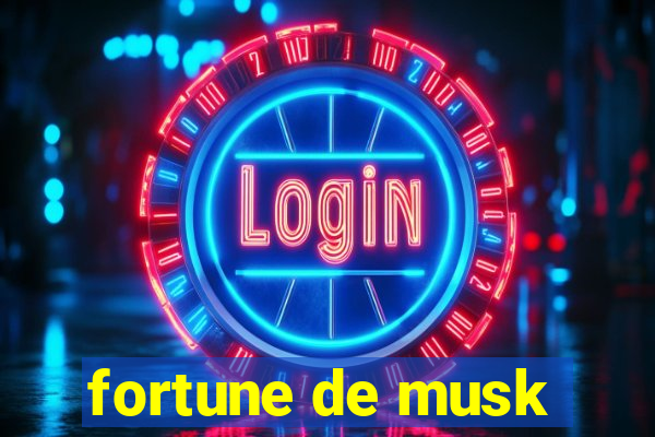 fortune de musk