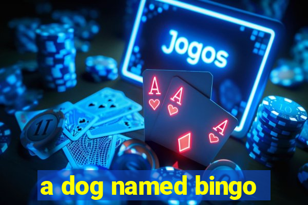 a dog named bingo