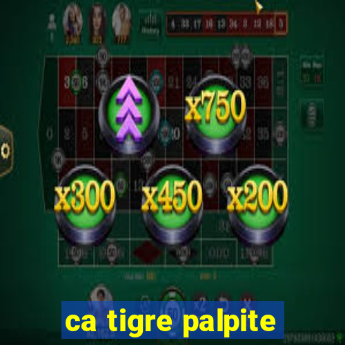 ca tigre palpite