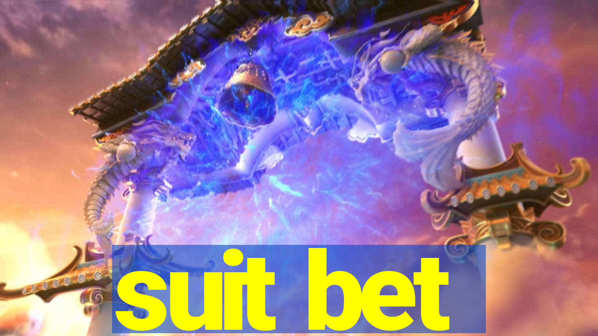 suit bet