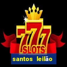 santos leilão passo fundo