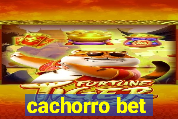 cachorro bet