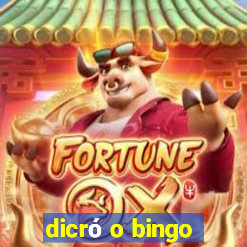 dicró o bingo