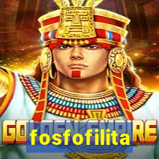 fosfofilita