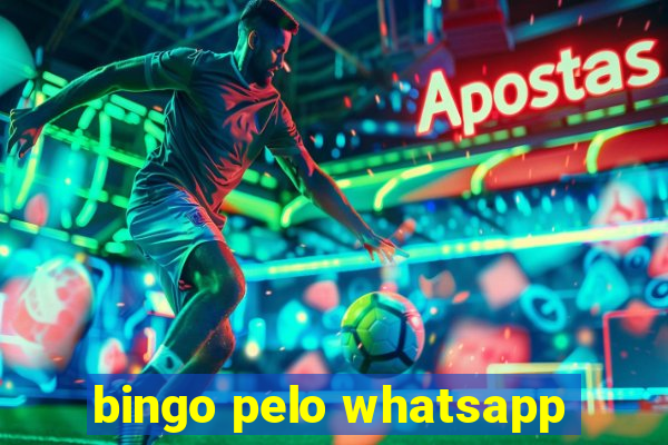 bingo pelo whatsapp