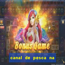 canal de pesca na tv box