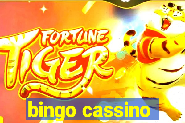 bingo cassino