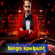 bingo spelpunt