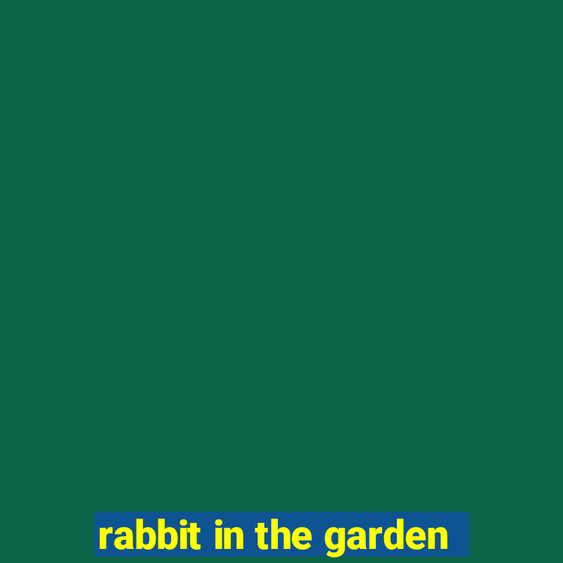 rabbit in the garden