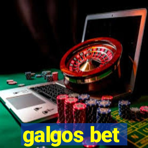 galgos bet