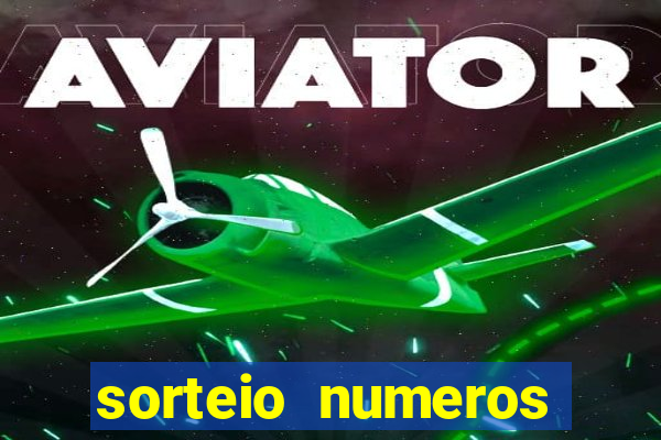 sorteio numeros bingo online