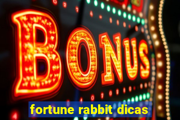 fortune rabbit dicas