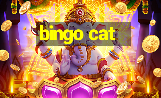 bingo cat