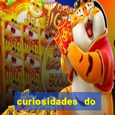 curiosidades do egito atual