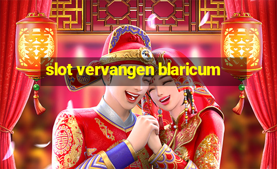 slot vervangen blaricum