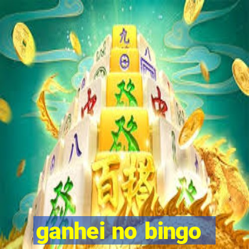 ganhei no bingo