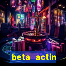 beta actin molecular weight