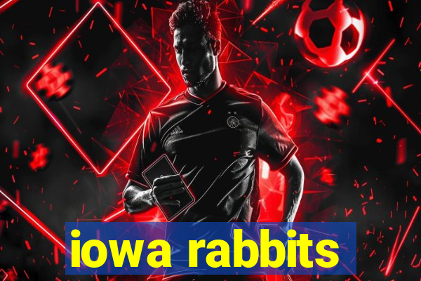 iowa rabbits