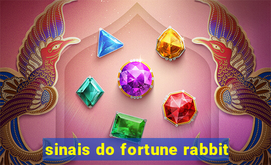 sinais do fortune rabbit