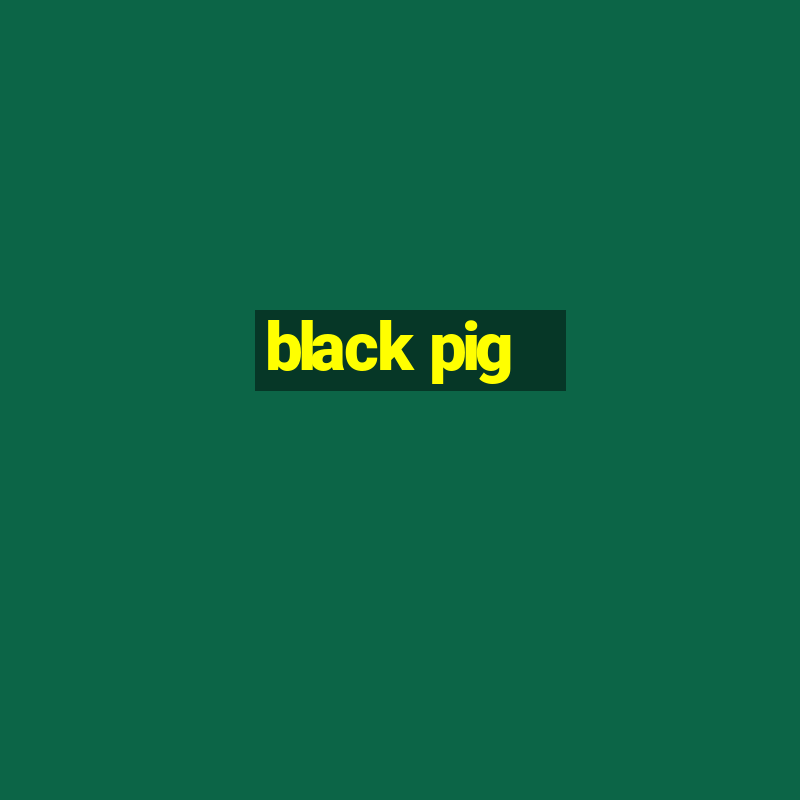 black pig