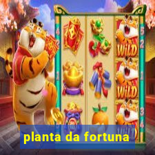 planta da fortuna