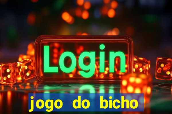 jogo do bicho crash mines