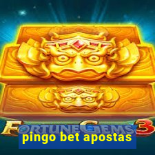 pingo bet apostas