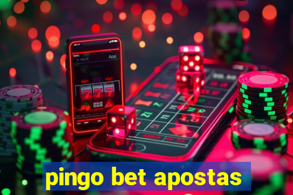 pingo bet apostas