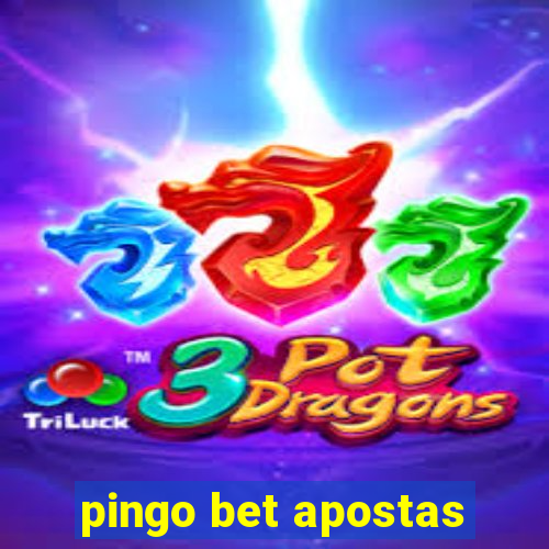 pingo bet apostas