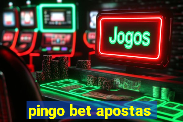 pingo bet apostas