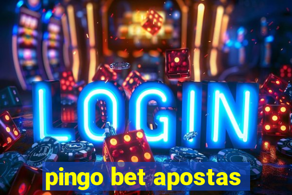 pingo bet apostas