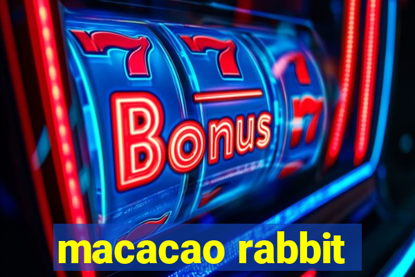 macacao rabbit