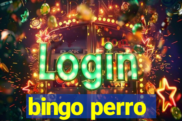 bingo perro