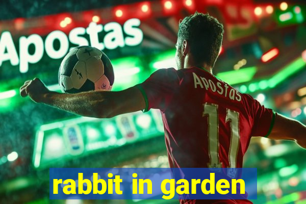 rabbit in garden