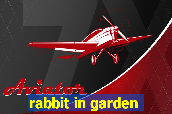 rabbit in garden