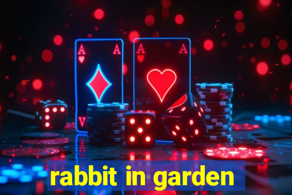 rabbit in garden