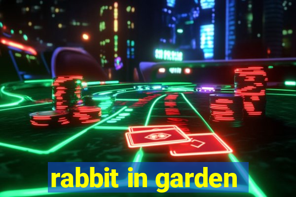 rabbit in garden