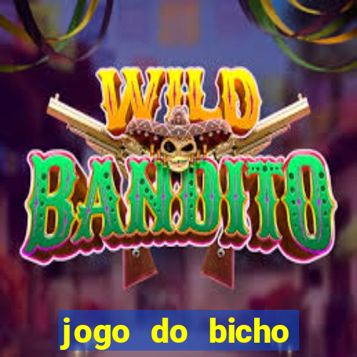 jogo do bicho crash bingo