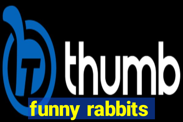 funny rabbits